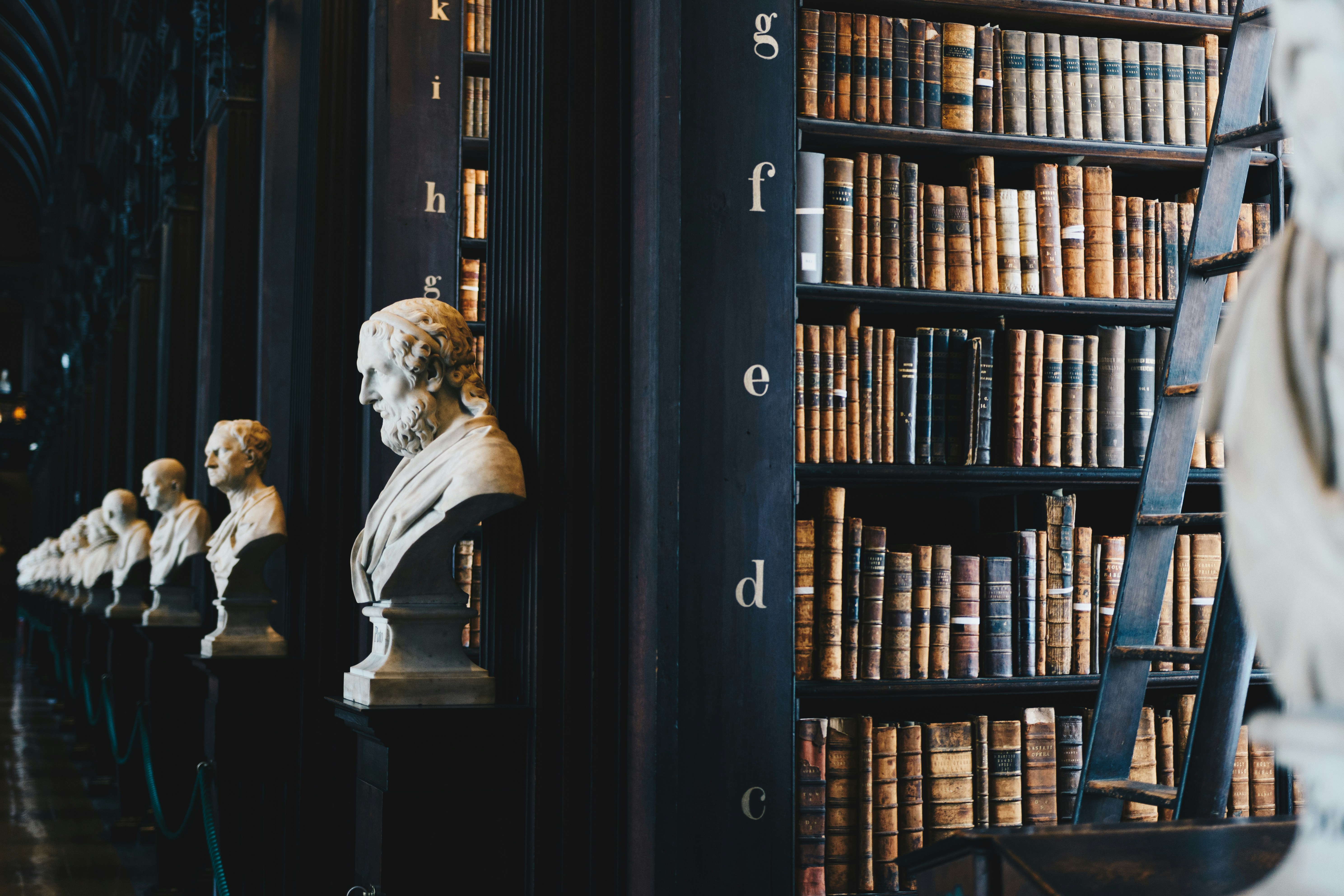 Classical busts and bookshelves in a library